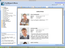 FastReport.Mono demo application runs on Linux