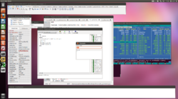 Fast Script main Demo compiled under Delphi FMX for Ubuntu - evaluate window.  