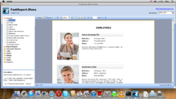 FastReport.Mono demo application runs on Mac OS X