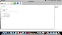Fast Script main Demo compiled under Delphi FMX for OSX platform. 