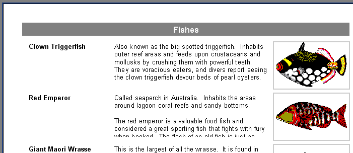 Multi-lined text display | FastReport VCL