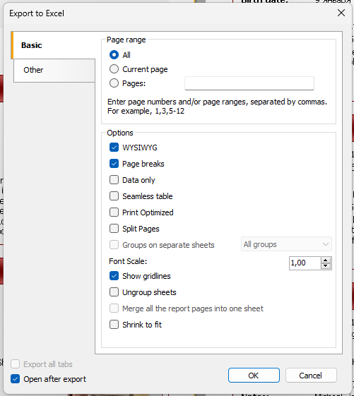 Export to Excel 2007 | FastReport Desktop