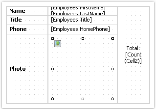 Inserting objects in cells | FastReport Desktop