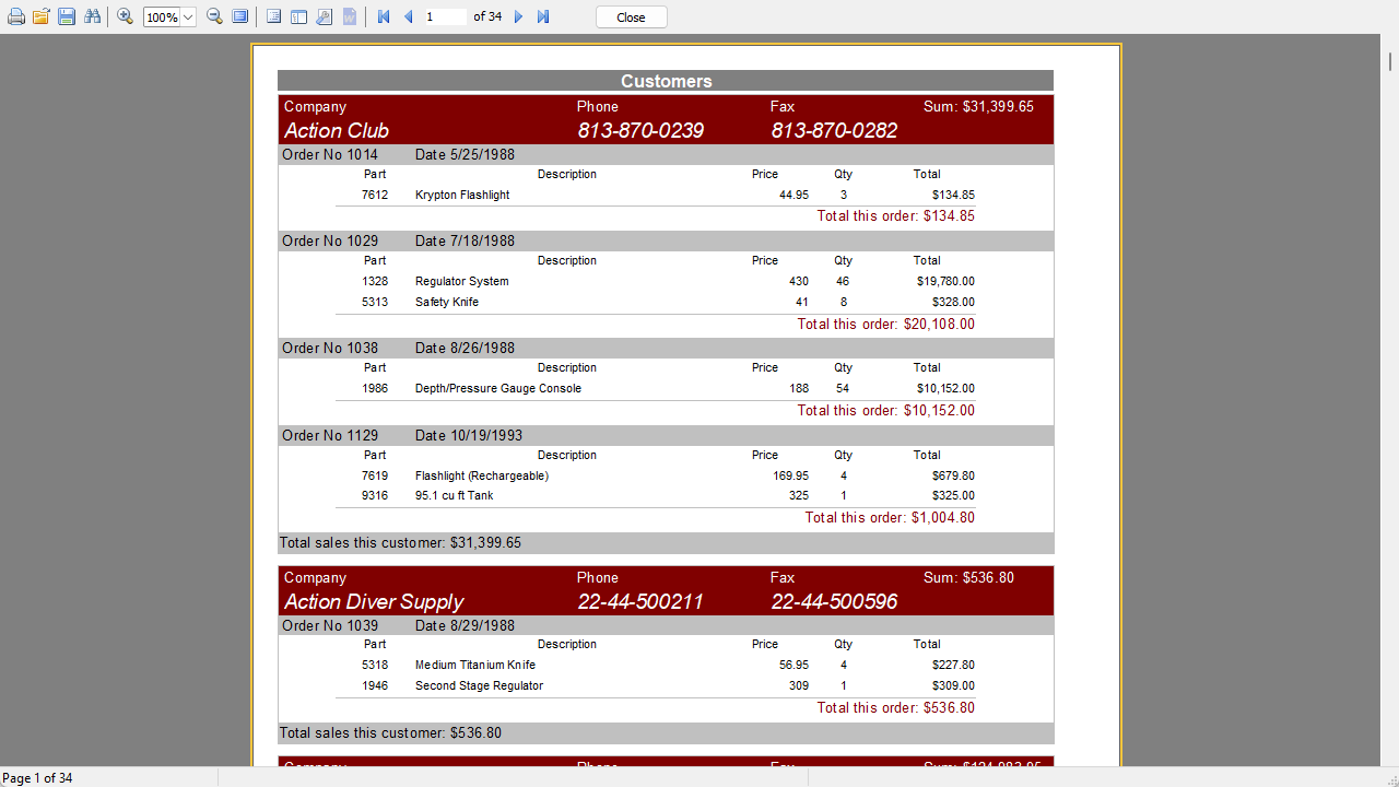 FastReport Viewer 