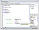 The Report Script