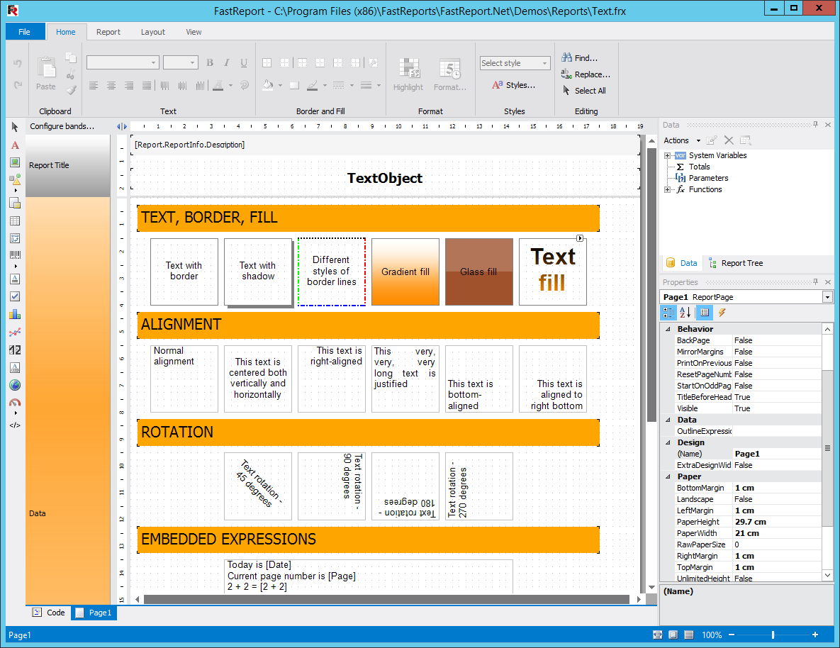 Visual Studio Report Designer, Reporting